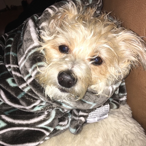 Currently on break from poshmark 🙄👍🏻 - Picture 4 of 8